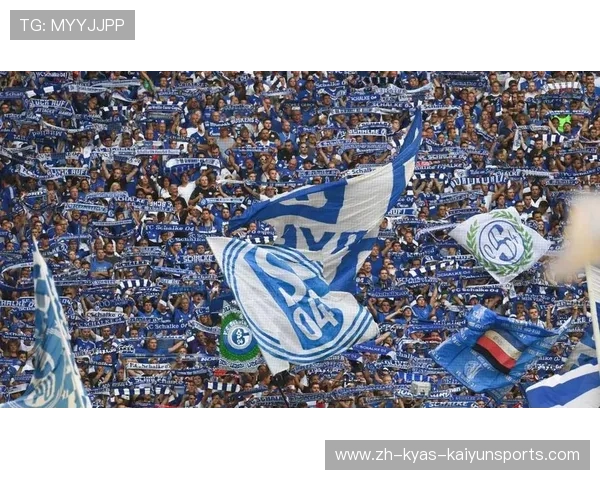 德甲球队负债情况与财政健康