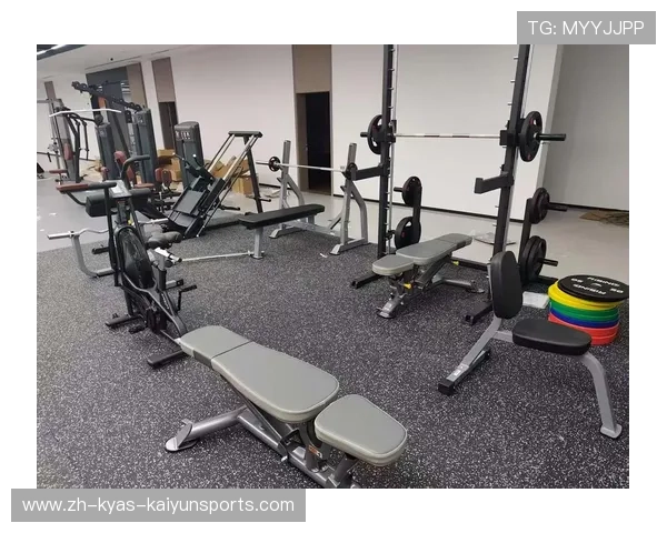 英派斯户外健身器材型号6系列功能评测（体育器械）